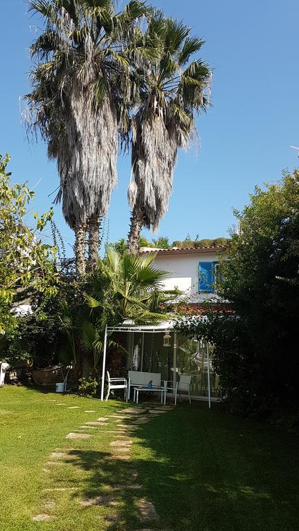 Villa Rosamarina Rosa Marina Exterior foto