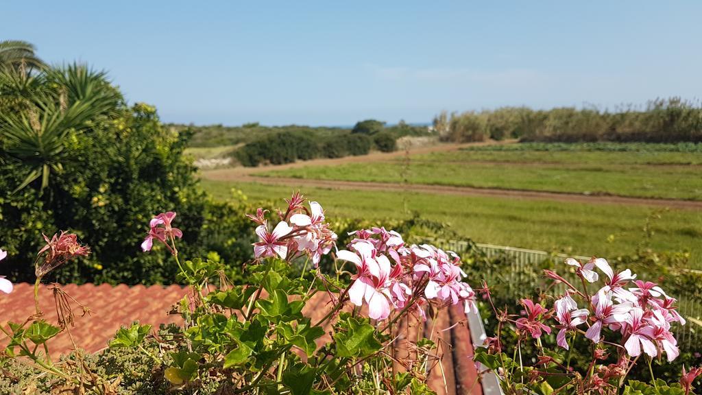 Villa Rosamarina Rosa Marina Exterior foto